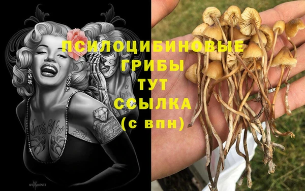 спиды Алексин