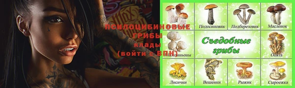 прущие крисы Алексеевка