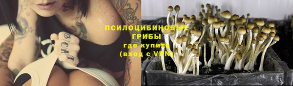 ALPHA PVP Алзамай