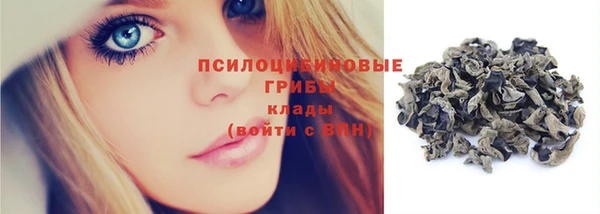 спиды Алексин